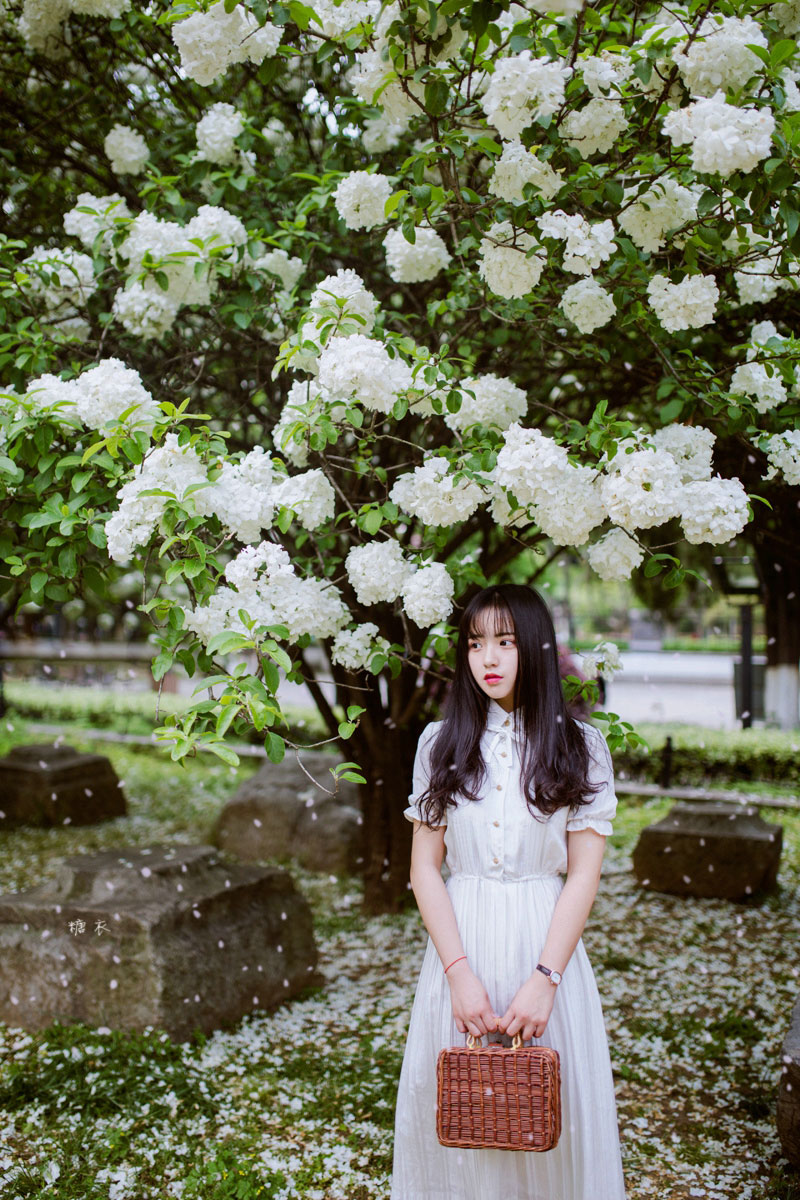 清纯大眼美女花丛中清丽动人唯美写真